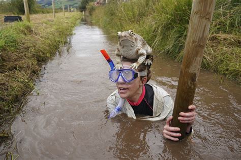 Bog snorkeling championships: Competitors race through slime in British contest